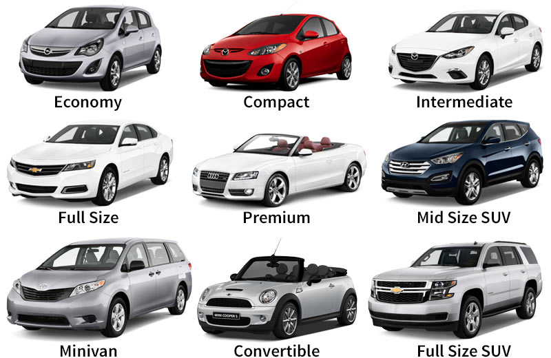 Rental car examples in Florida